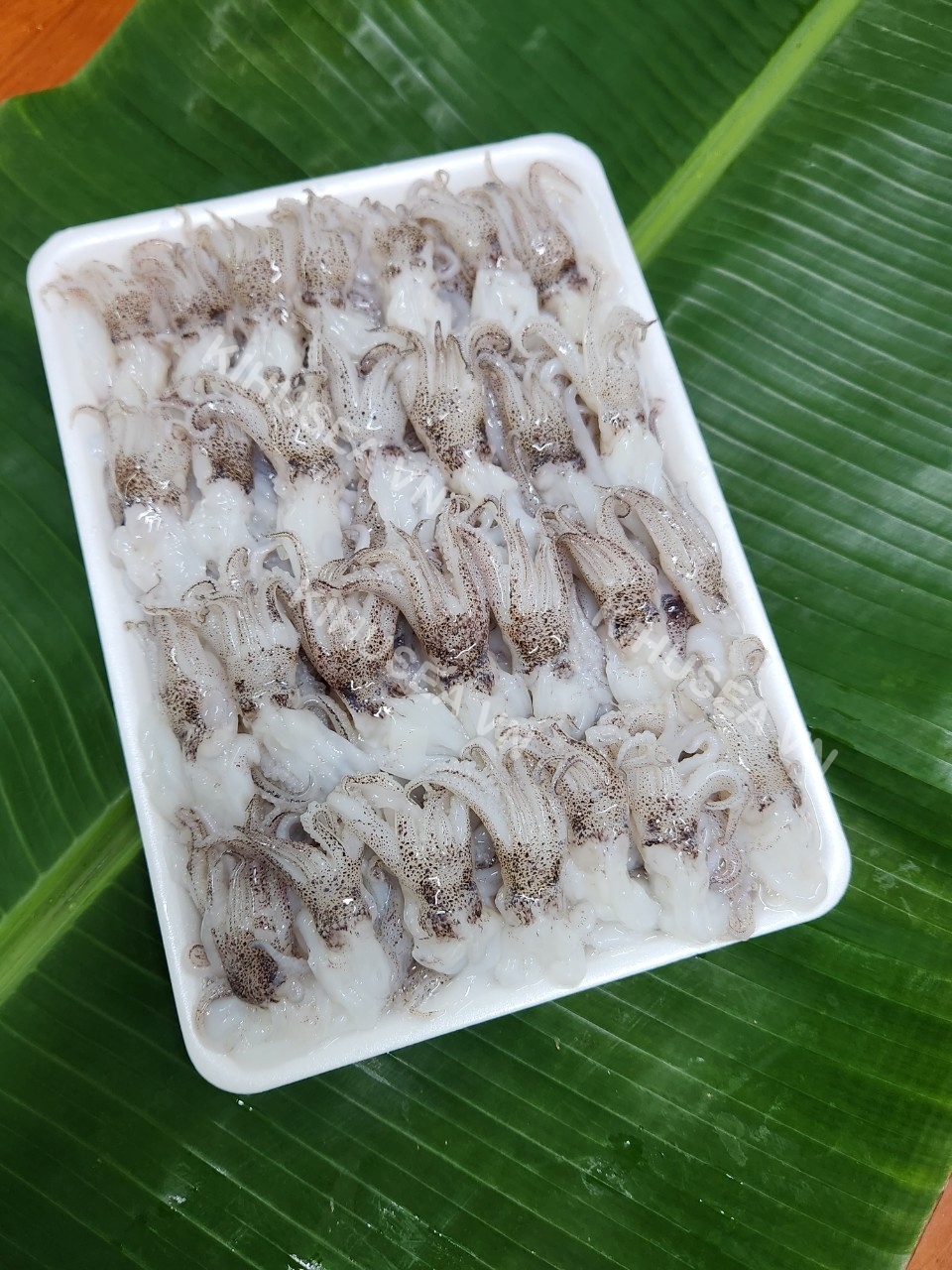 Đầu mực ống làm sạch